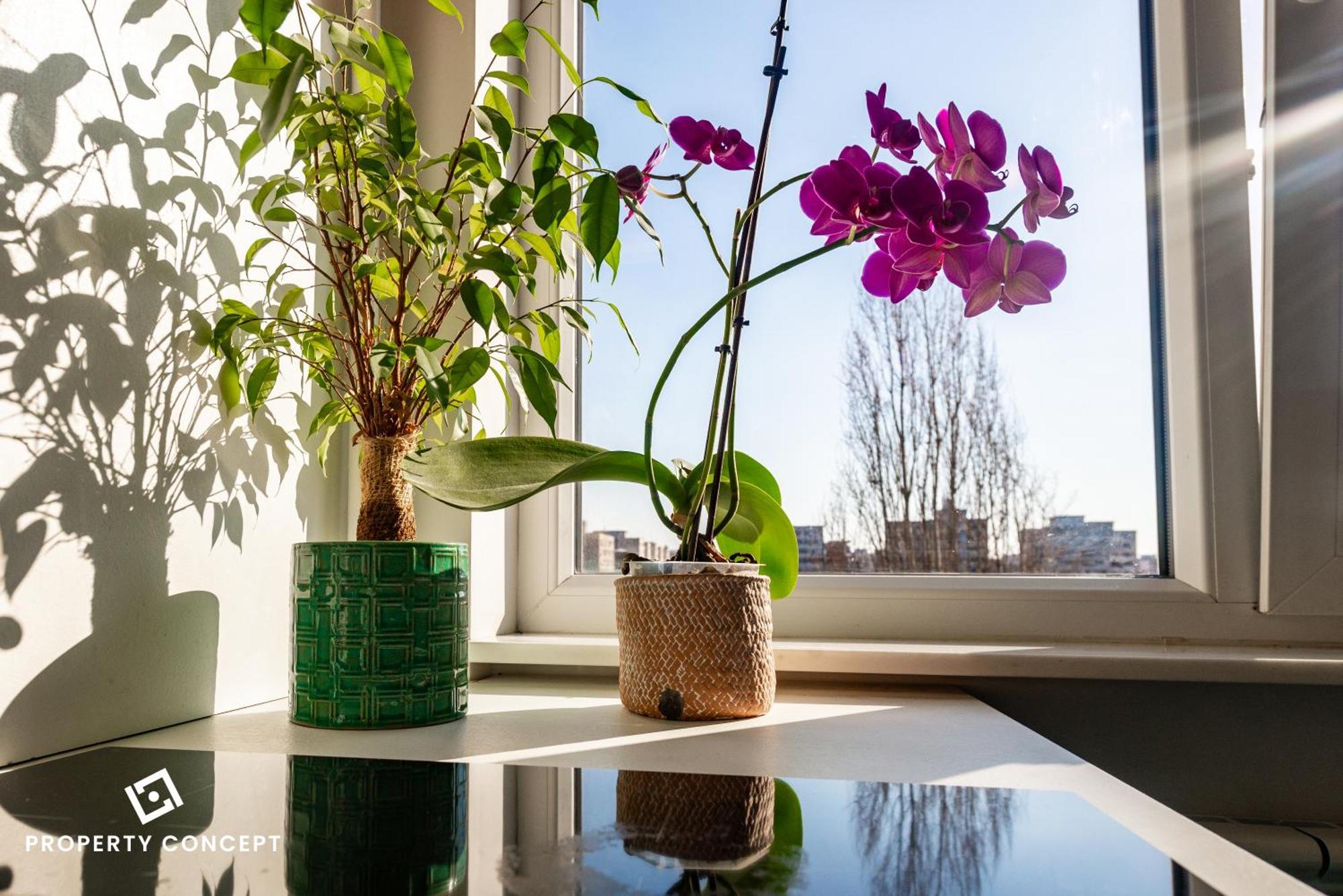 Blissful Retreat Apartment Бухарест Екстер'єр фото